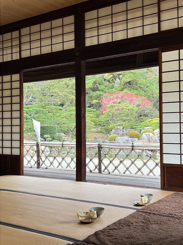 11월에 가면 단풍 맛집 다카마쓰 리쓰린 공원 11월에 가면 단풍 맛집 다카마쓰 리쓰린 공원