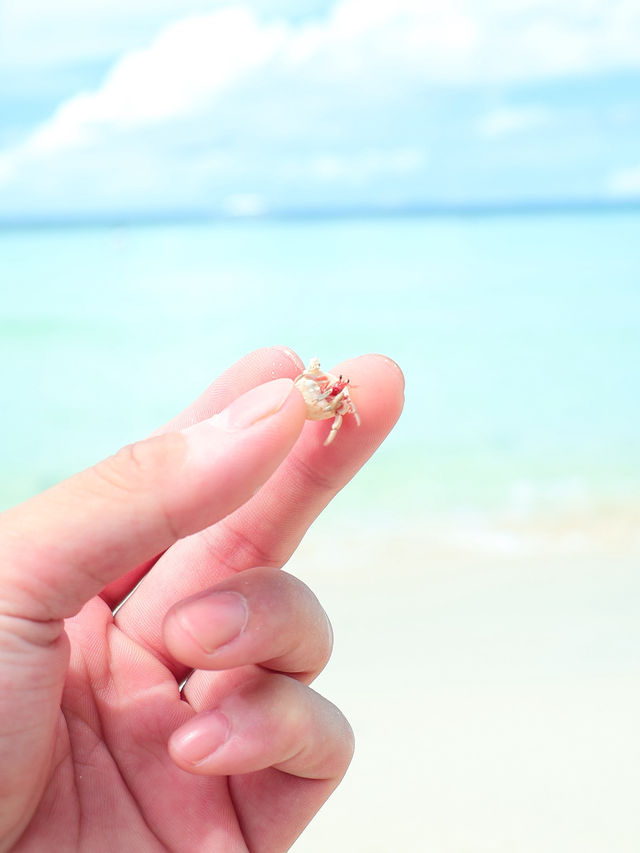 長灘島自由行五天四夜