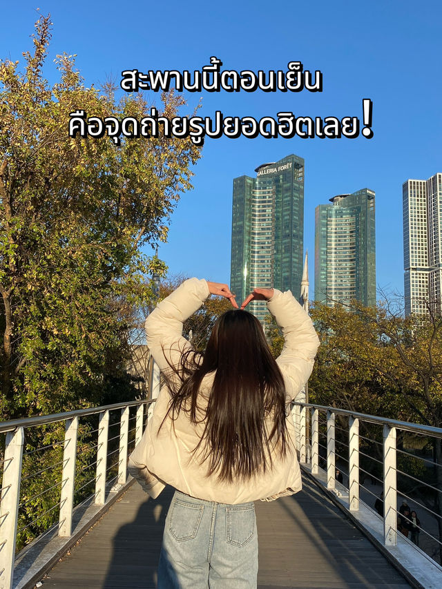 Seoul Forest ในวันที่ใบไม้เปลี่ยนสี