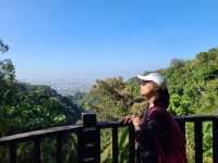 【新田步道・輕登小百岳-聚興山｜的山林小旅行】