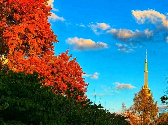🍁✨ Fall in Trinity Bellwoods Park — Toronto’s Cozy Autumn Escape