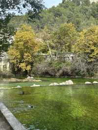 南法泉水城 Fontaine-de-Vaucluse💚被綠泉水治癒的一天
