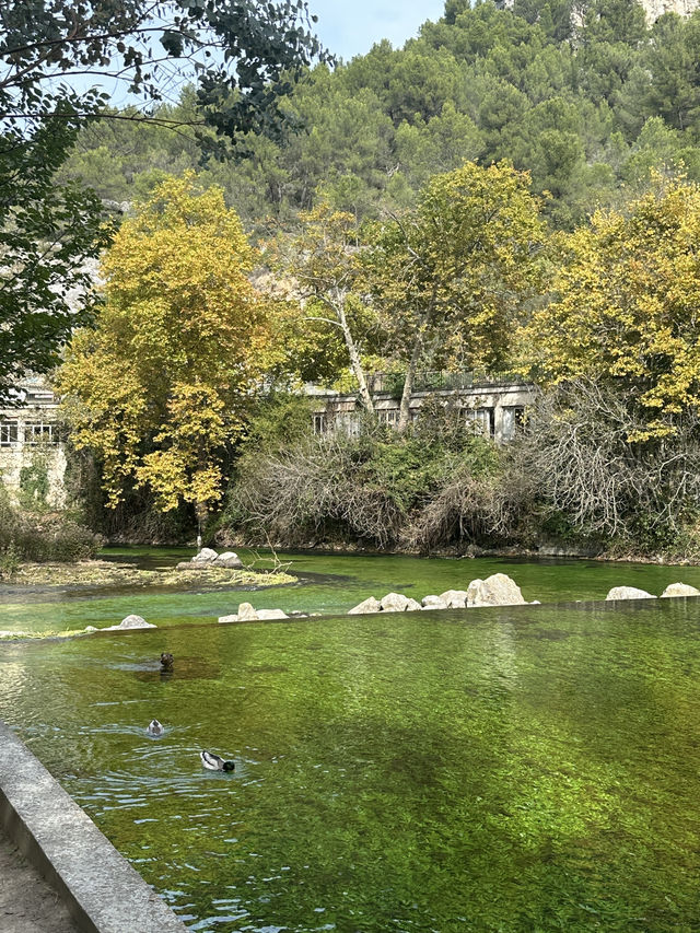 南法泉水城 Fontaine-de-Vaucluse💚被綠泉水治癒的一天