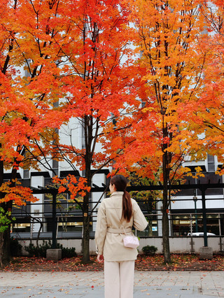 🍁일본 홋카이도 삿포로의 단풍 구경 및 사진 촬영 추천 장소🤎