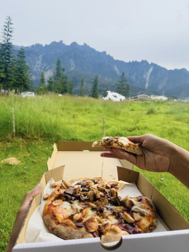 Fresh air, green hills, and happy cows—Kundasang perfection🐄⛰️ Fresh air, green hills, and happy cows—Kundasang perfection🐄⛰️