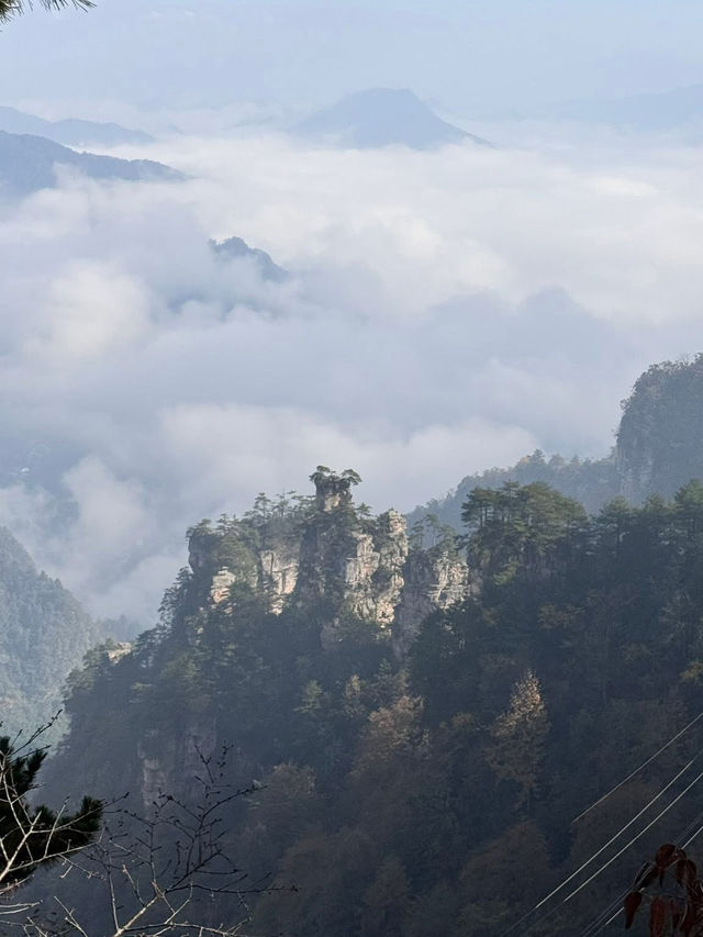 中國湖南張家界一日遊 武陵源 張家界 天子山 金鞭溪 中國湖南張家界一日遊 武陵源 張家界 天子山 金鞭溪