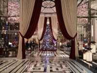 澳門西式建築漫步體驗👣