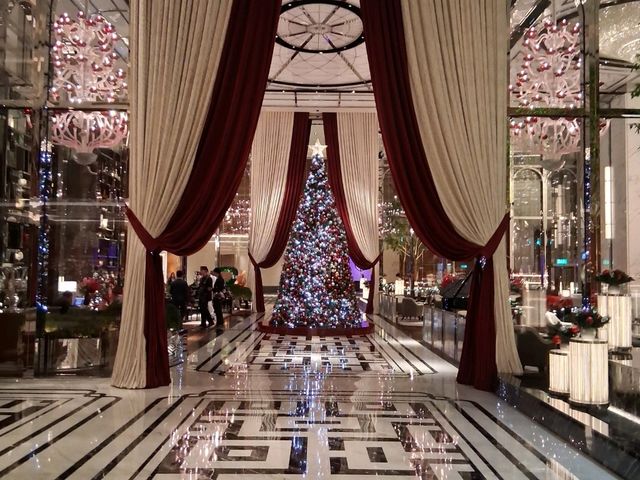 澳門西式建築漫步體驗👣 澳門西式建築漫步體驗👣