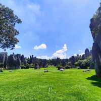 Walking Through a Stone Wonderland