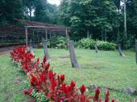 Seasonal Flower Gardens: Where Scenery Changes With Every Visit