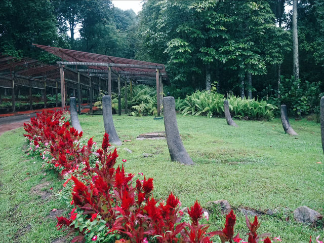 Seasonal Flower Gardens: Where Scenery Changes With Every Visit Seasonal Flower Gardens: Where Scenery Changes With Every Visit