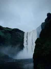 Northern Lights Tripcom✨