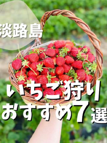 [Awaji Island] 7 Recommended Strawberry Picking Spots