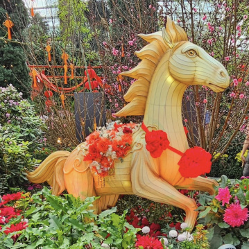Prosperity in Every Petal: Chinese New Year at Flower Dome | Trip