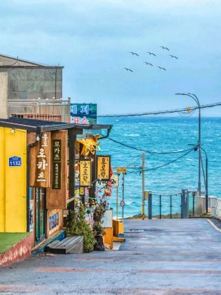 Jeju Island 3 Days 2 Nights Travel Plan: Covering All Highlights!!