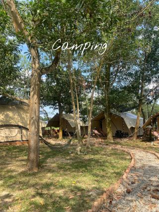 Camping in a minimalist tent 🏕️ with summer camp vibes 