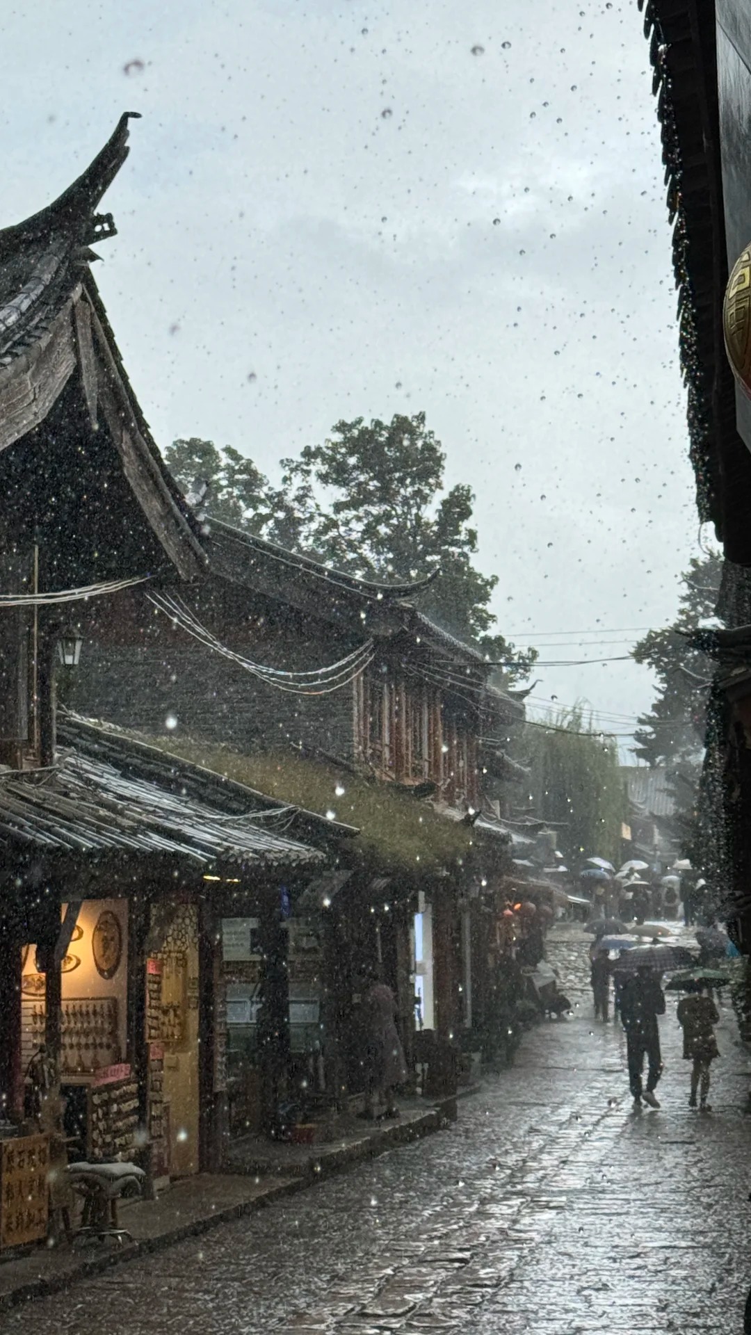 【中國 攻略 2026】麗江 Trip.com 精選 — 港人實用指南 麗江 - 我在麗江遇到了一整天的雨,卻意外發現:下雨天,才是麗江最美的 - 圖 1