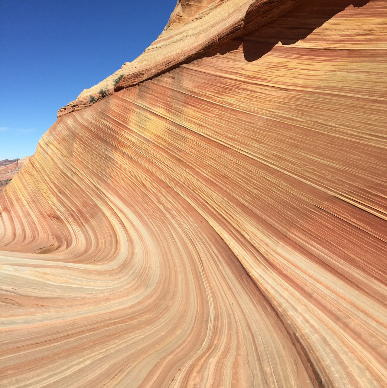 【美國 攻略 2026】Coconino County Trip.com 精選 — 港人實用指南 Coconino County - Nature's Wave in Arizona. - 圖 4