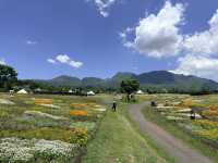 เที่ยวฟุกุโอกะ คิวซู ญี่ปุ่น Spring at Kyushu 2026