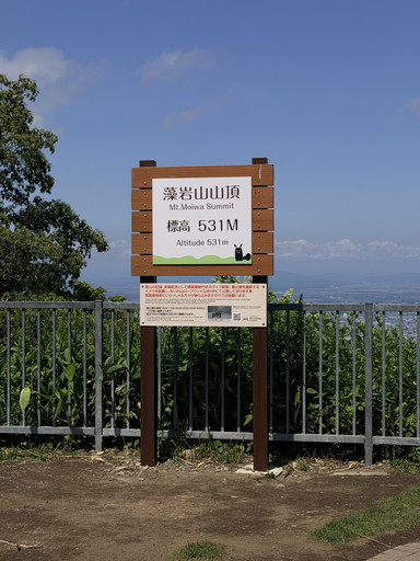 Mt. Moiwa Ropeway in Sapporo: The Best City Views, a Mountaintop