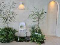 Sundaisy Brunch Café: A Hidden Gem in Namwon