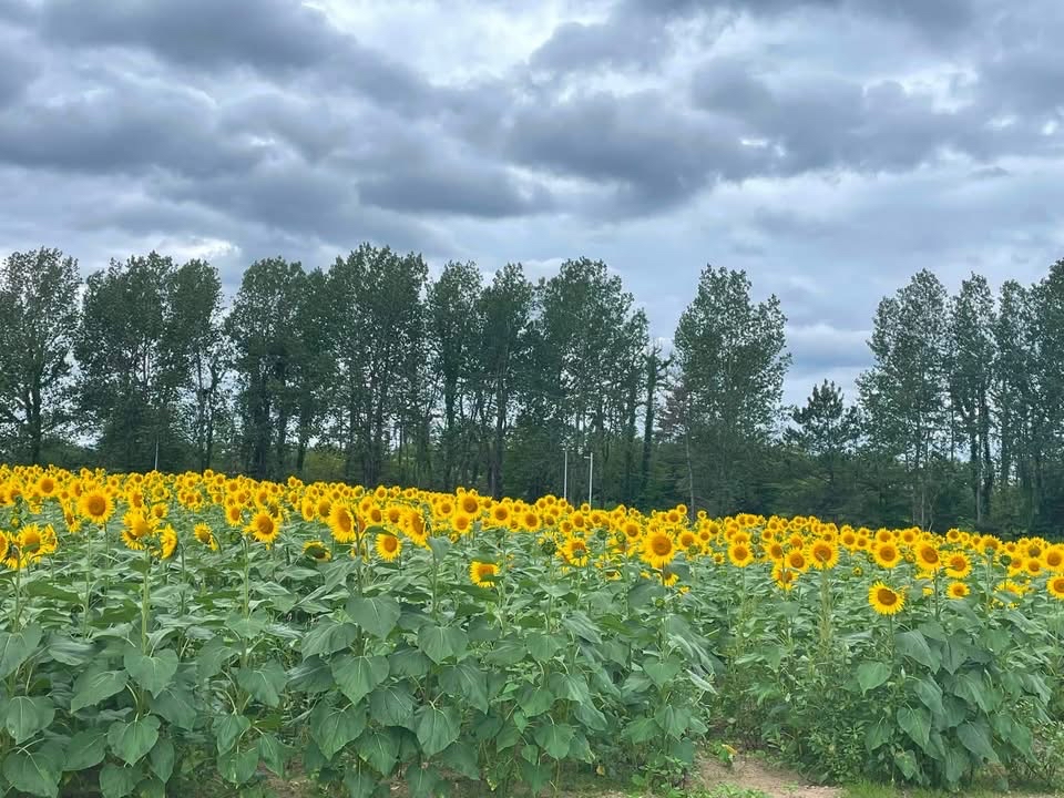 Огата — место без туристов, и для меня это настоящая загадка.