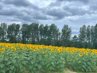 Ogata: A tourist spot with no tourists, which I find quite puzzling..