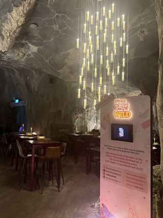 🪨 Dining Inside a Cave in Singapore! ✨