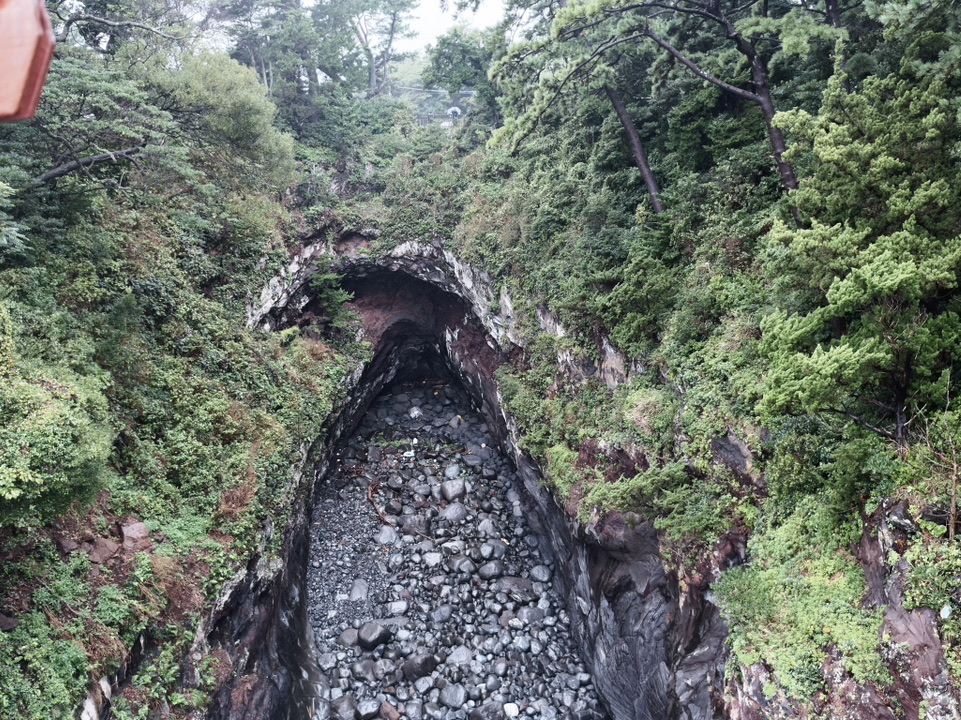 Shizuoka Izu | The Rugged Beauty of Jogasaki Coast: Black Lava