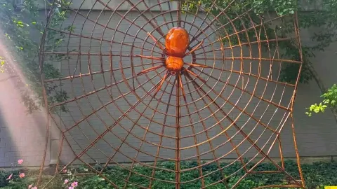 🍁 Experience the Beauty of Fall at Franklin Park Conservatory🌿🌿 — traveler post in Columbus