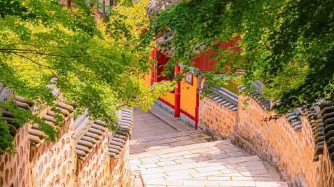 Visiting Busan? Don't forget to check in at Bommosa Temple and take photos at the stunning tunnel of leaves – a must-visit spot! 📸 — traveler post in Ulsan