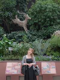 Flower Dome