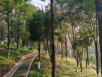 龍華公園