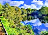 Hill Hook Nature Reserve