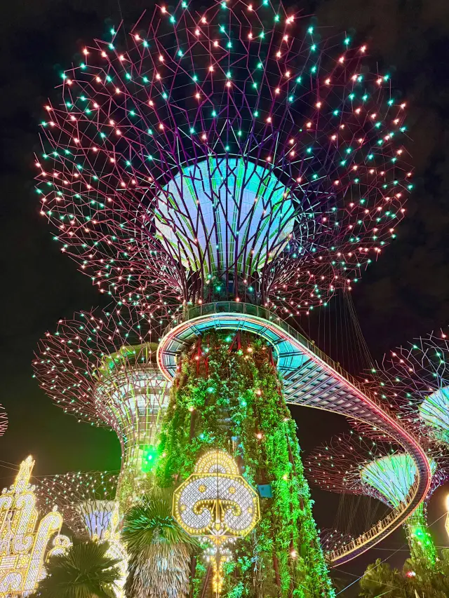 Dazzling Nights at Gardens by the Bay Christmas Wonderland