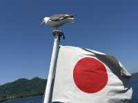 洞爺湖　中島遊覧船