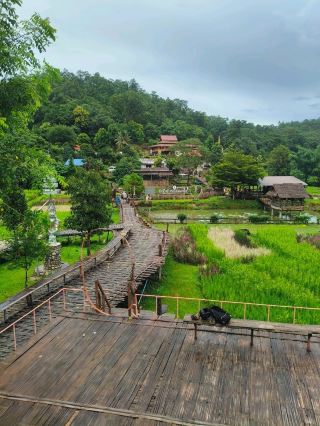 Walking Through the Dreamy Rice Fields on Pai’s Bamboo Bridge 🌾✨