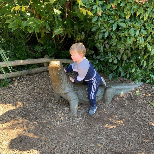 Birthday treat to Chester zoo🐘🦓👌🏽