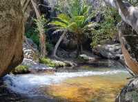 Interesting: Emerald Creek Falls 🇦🇺