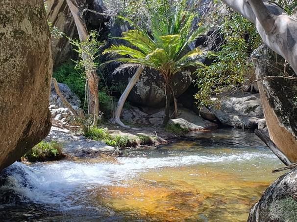 Interesting: Emerald Creek Falls 🇦🇺