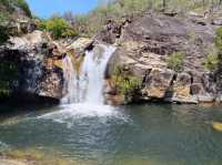 Interesting: Emerald Creek Falls 🇦🇺