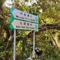 荔枝窩行山推介