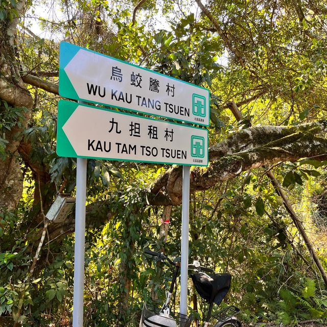 荔枝窩行山推介