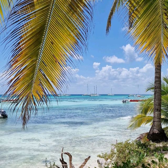 Saona Island 