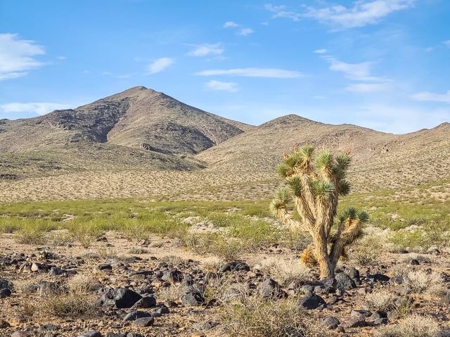 Sloan Canyon National Conservation Area 🇺🇸