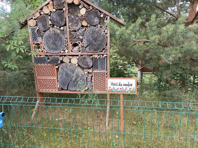 Zoo Gdańsk Oliwa 🦏🦒