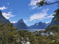 New Zealand’s Spectacular Fjord