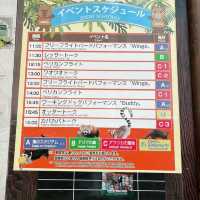 🐨神戶動物王國🦁超近距離接觸可愛動物🦝
