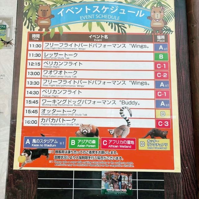 🐨神戶動物王國🦁超近距離接觸可愛動物🦝