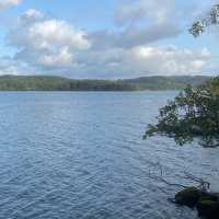 Windy, Windy, Windermere!